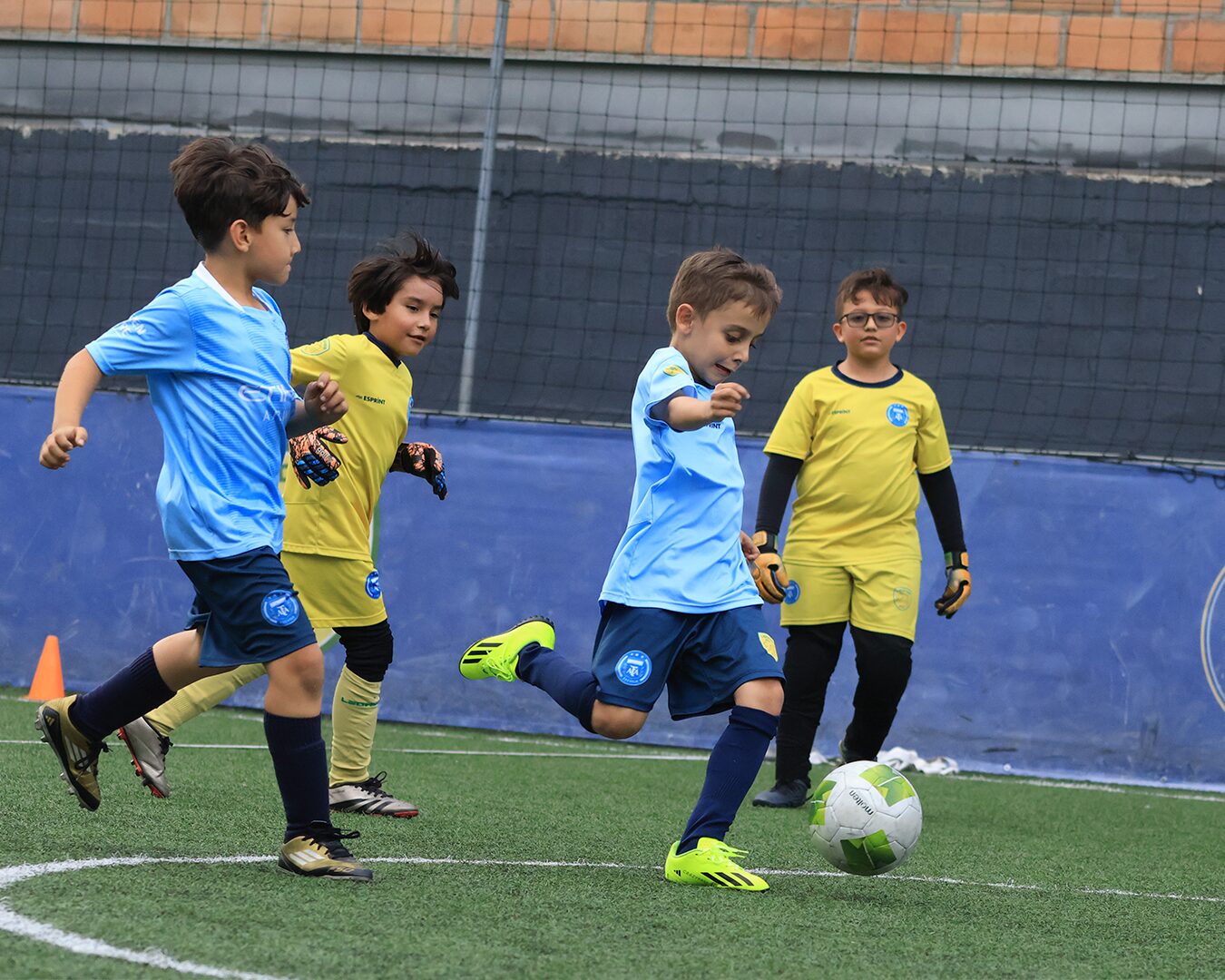 Leones01
