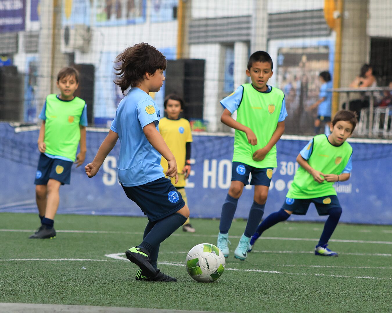 Leones02