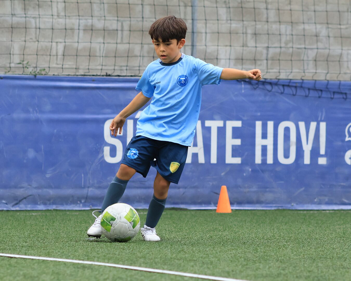 Leones03