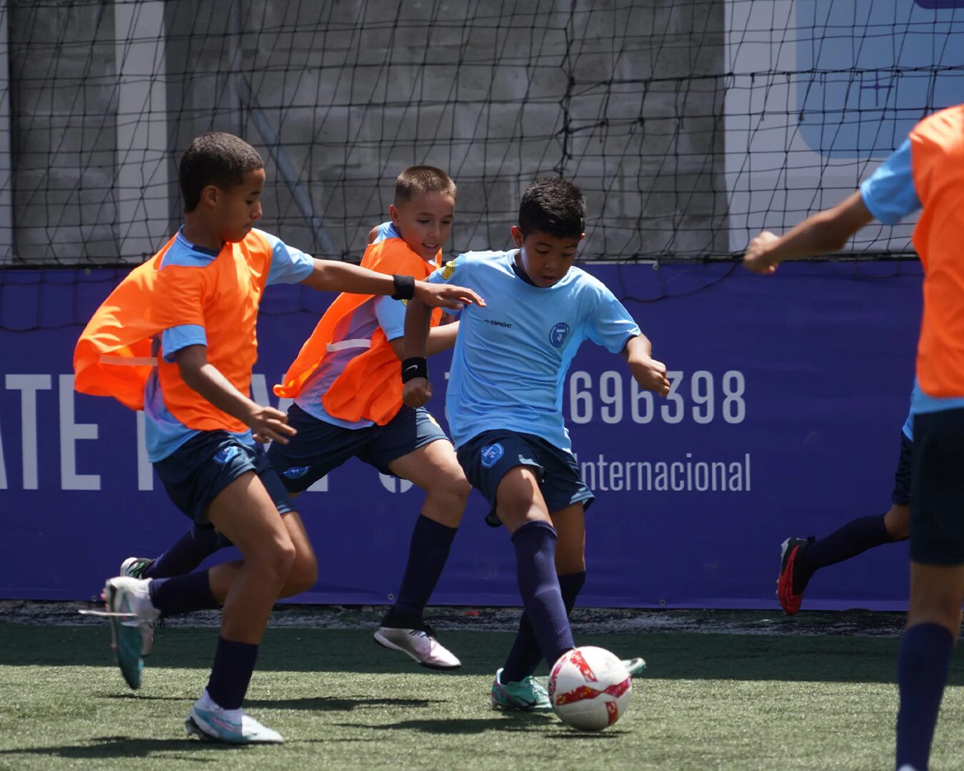 leones06